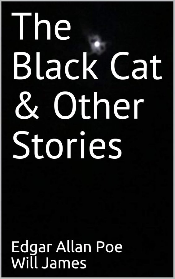 Capa de The Black Cat and Other Stories
